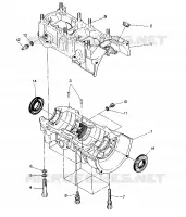 CARTERS MOTEUR   400 (4915411541031A)