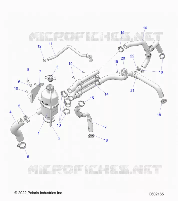 ENGINE, VASE D'EXPANSION AND HOSES