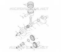 VILEBREQUIN AND PISTON