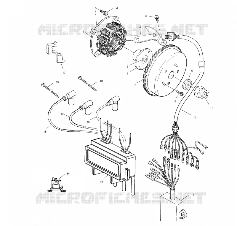 STATOR