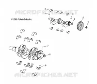 VILEBREQUIN AND BALANCE SHAFT