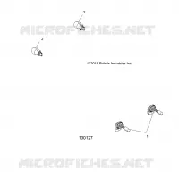 AMPOULES