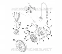 STATOR