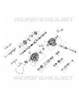 DRIVE TRAIN, PONT PRINCIPAL INTERNALS