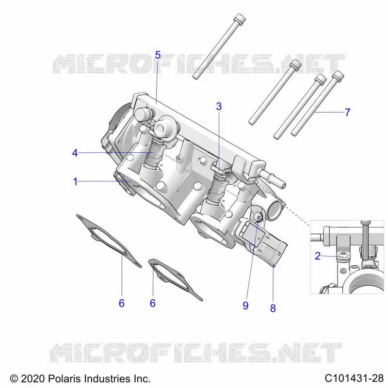ENGINE, CORPS DE PAPILON