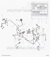 ELECTRICITE, WIRE HARNESS
