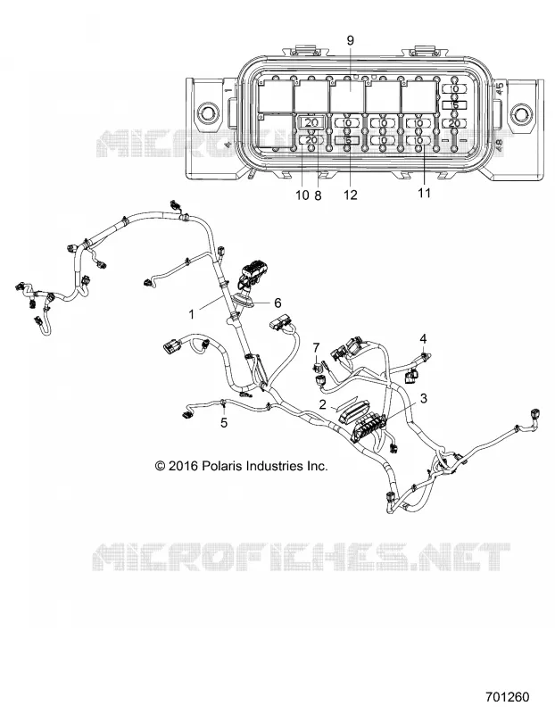 ELECTRICITE, WIRE HARNESS