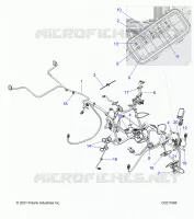 ELECTRICITE, HARNESS