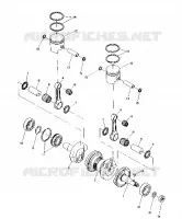 PISTON AND VILEBREQUIN (TRAIL) (4910941094034A)