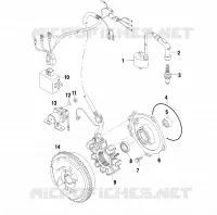 STATOR