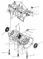 CARTERS MOTEUR ASSEMBLY 500 EFI 0942774 and EFI SKS 0942574 (4924982498031A)