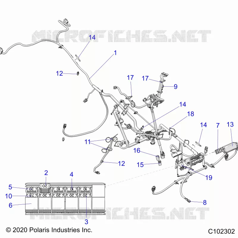 ELECTRICITE, HARNESS