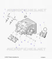 ENGINE, INTAKE INTAKE MANIFOLD, CORPS DE PAPILON, FUEL RAIL- Z24NME99A2/B2 (C702910)