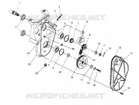 CARTER DE CHAINEE ASSEMBLY  RXL 0956768 (4930783078B008)