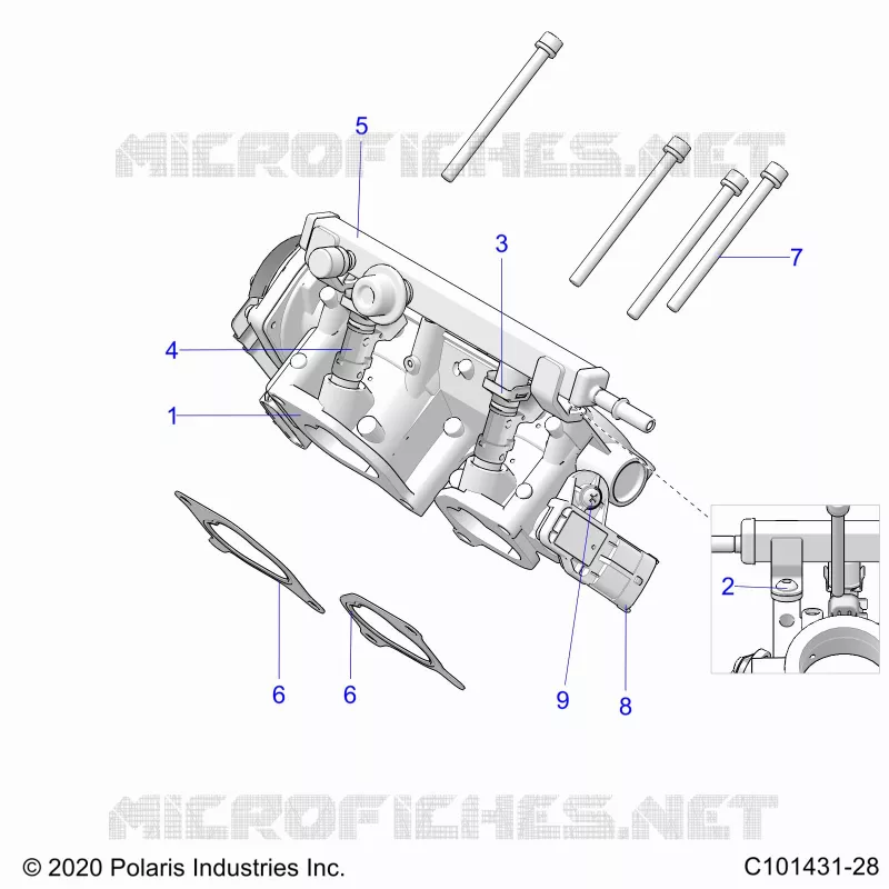 ENGINE, CORPS DE PAPILON