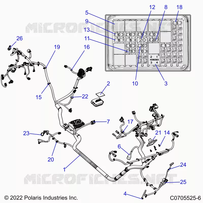 ELECTRICITE, WIRE HARNESS