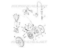 STATOR