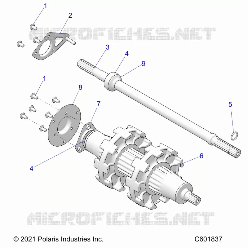 DRIVE TRAIN, JACKSHAFT AND ARBRE DE TRANSMISSION