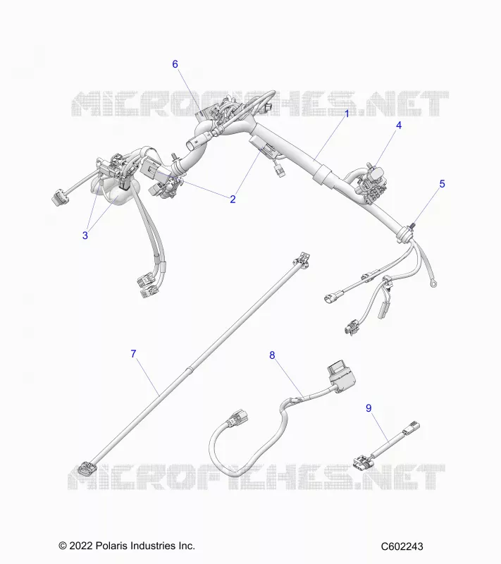 ELECTRICITE, WIRE HARNESSES