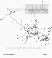 ELECTRICITE, HARNESS