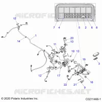 ELECTRICITE, HARNESS