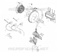 STATOR
