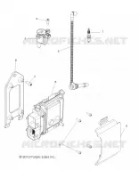 ALLUMAGE