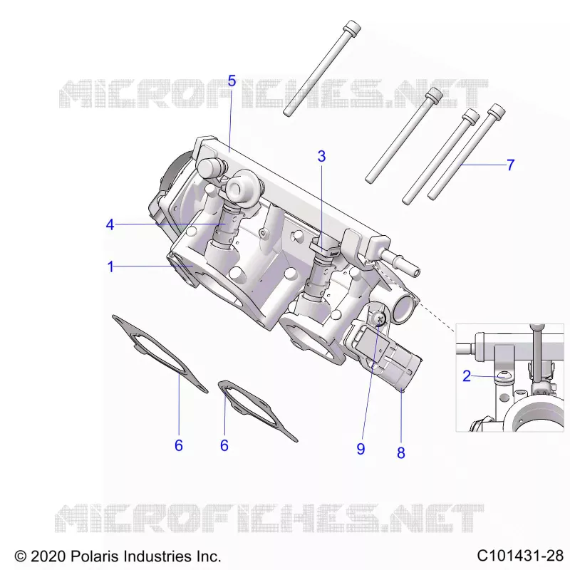 ENGINE, CORPS DE PAPILON