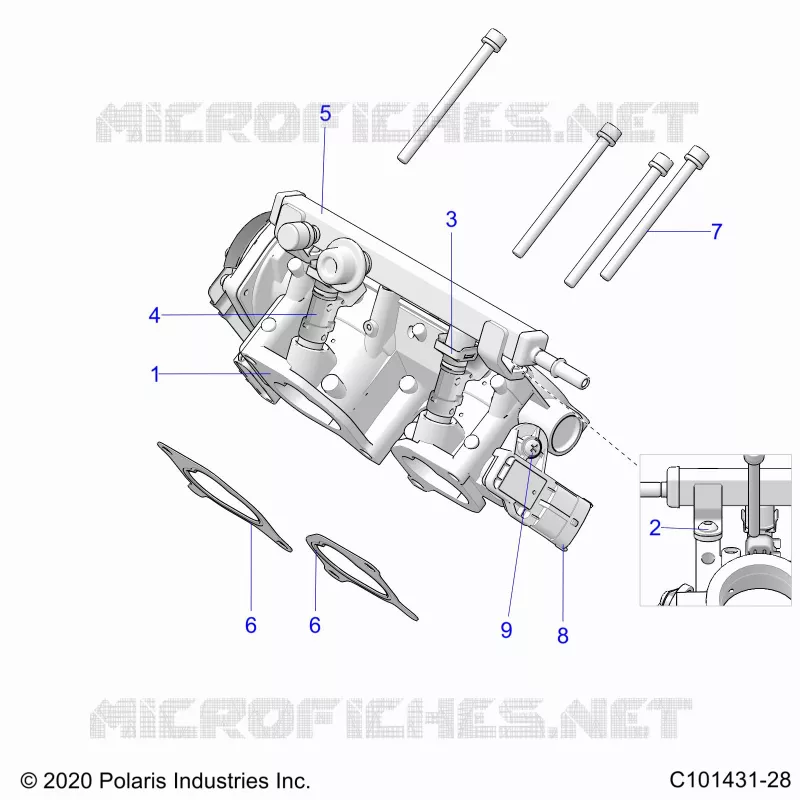 ENGINE, CORPS DE PAPILON