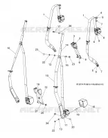 SIEGEBELT, E4, US