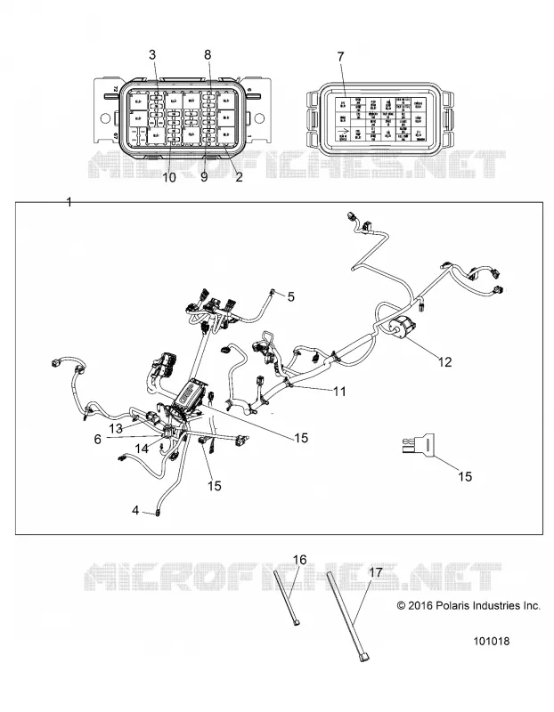 ELECTRICITE, HARNESS