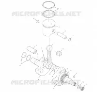VILEBREQUIN AND PISTON
