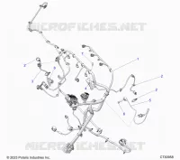 ELECTRICITE, WIRE HARNESS, ENGINE
