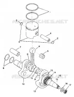 VILEBREQUIN AND PISTON TRAIL BLAZER W937221 (4924082408030A)