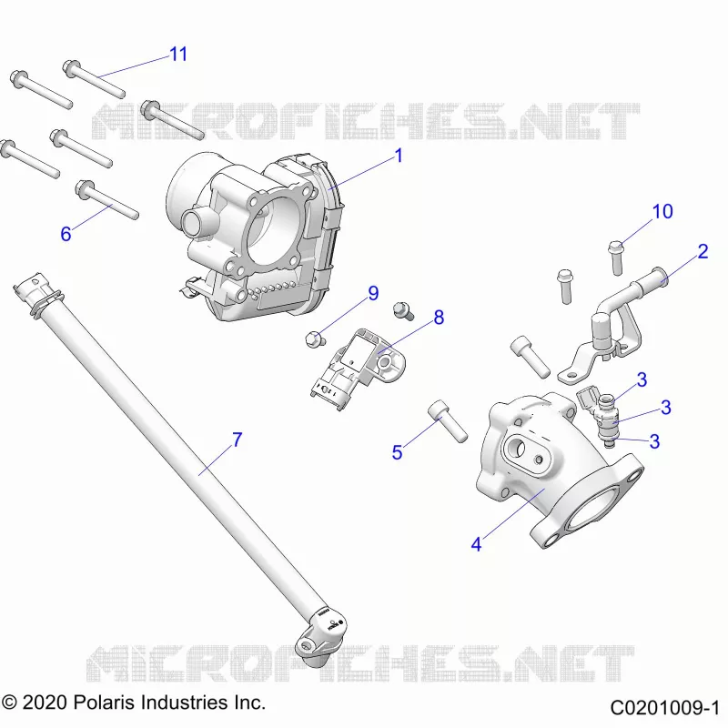 ENGINE, CORPS DE PAPILON AND FUEL RAIL