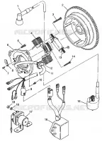 STATOR (300) XPRESS 300 W97CA28C (4939603960D009)