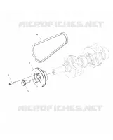 ENGINE, POULIE DE TRANSMISSION AND DRIVE BELT
