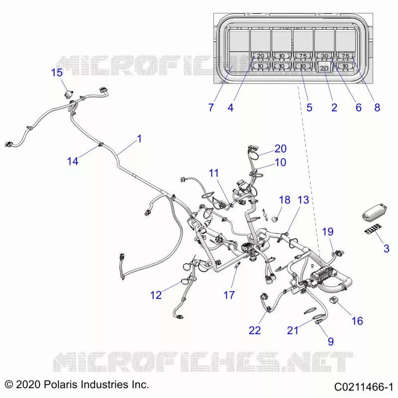 ELECTRICITE, HARNESS