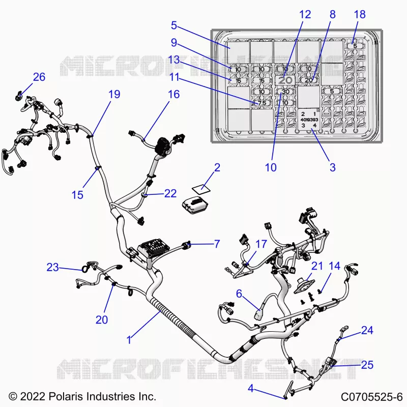 ELECTRICITE, WIRE HARNESS