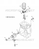 ENGINE, PISTON AND VILEBREQUIN