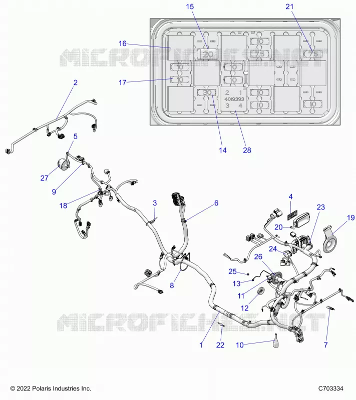 ELECTRICITE, WIRE HARNESS