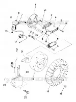 STATOR Trail (4912701270040A)