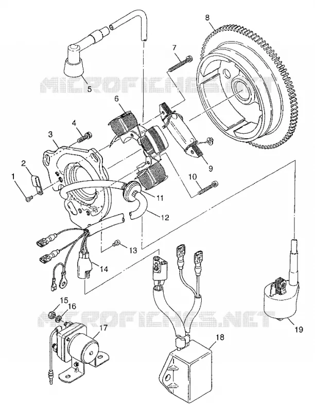 STATOR XPLORER 300 W97CC28C (4939813981D001)