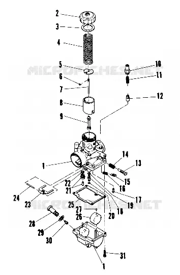 CARBURATEUR (TRAIL) (4909500950047A)