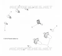 ELECTRICITE, BULBS