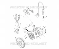 STATOR