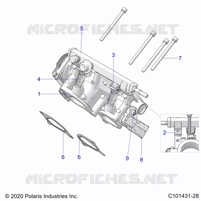 ENGINE, CORPS DE PAPILON