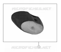 DOME LIGHT