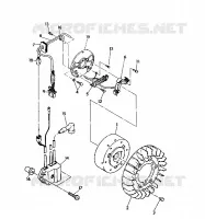 STATOR  Indy Lite (4921332133035A)