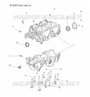 CARTERS MOTEUR   S09PB8ES/ESL (49SNOWCARTERS MOTEUR09ASLT) pour Polaris 800 IQ de 2009